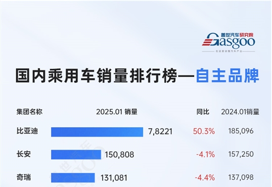 比亚迪一骑绝尘，小米、银河强势入局 | 2025年1月国内乘用车销量排行榜