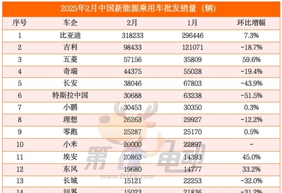 2月新能源车销量TOP20：传统自主五强霸榜前五，新势力四小龙奋起直追