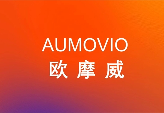 将独立运营的大陆集团汽车子集团再公布新任命