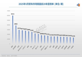 2025年5月轿车销量TOP20：海鸥月销破6万，高端市场也有自主新“王牌”