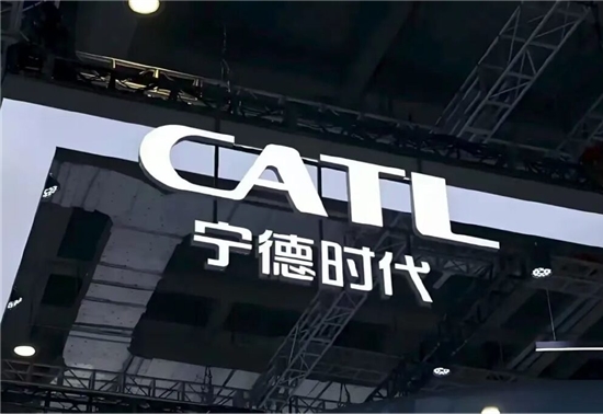宁王闯欧洲：喜忧参半的海外淘金路