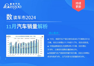 数读车市2024-11月销量解析