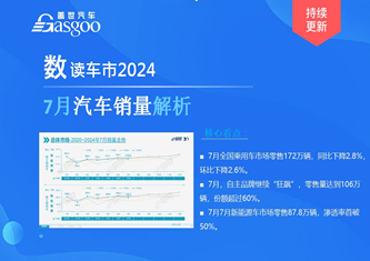 数读车市2024-7月销量解析