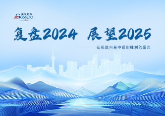 复盘2024，展望2025