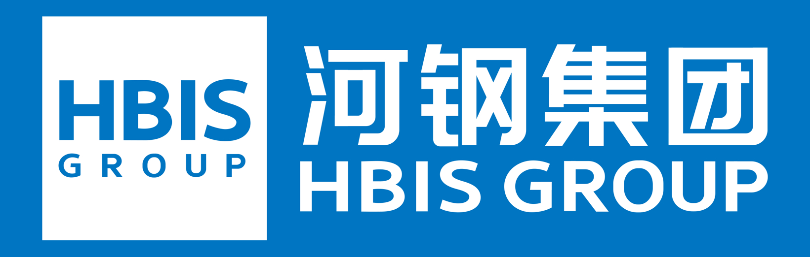 河钢集团 横版组合LOGO 反白.png
