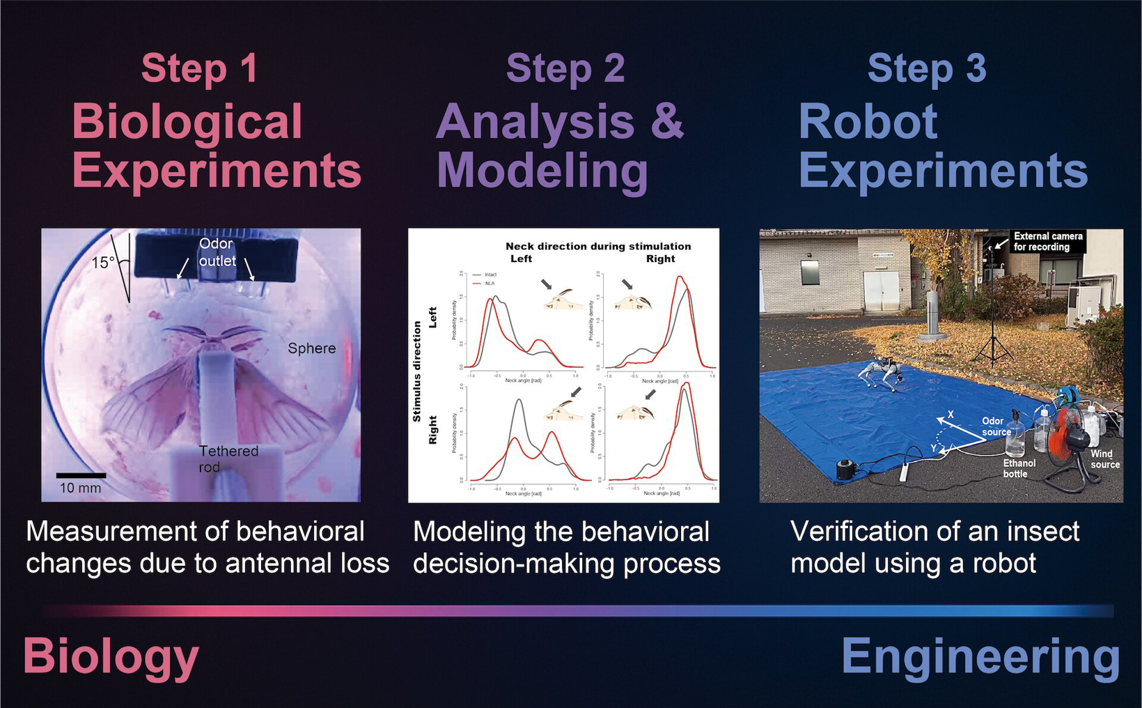 仿生.jpg 仿生.jpg
