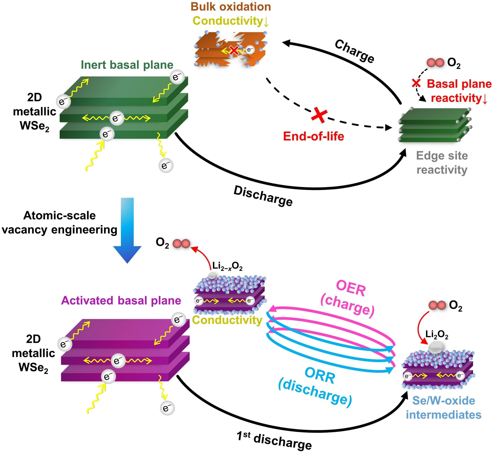 0402 二维催化剂.jpg