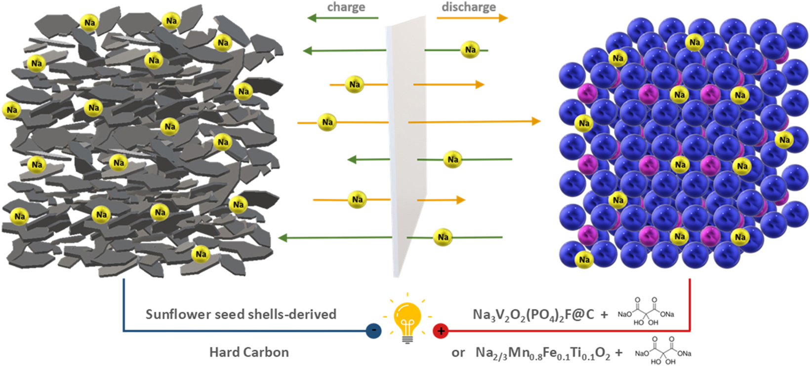 0402 葵花子ke.jpg