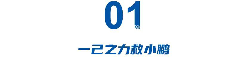 王凤英交出2023答卷：一己之力救小鹏，长城痛失真良将