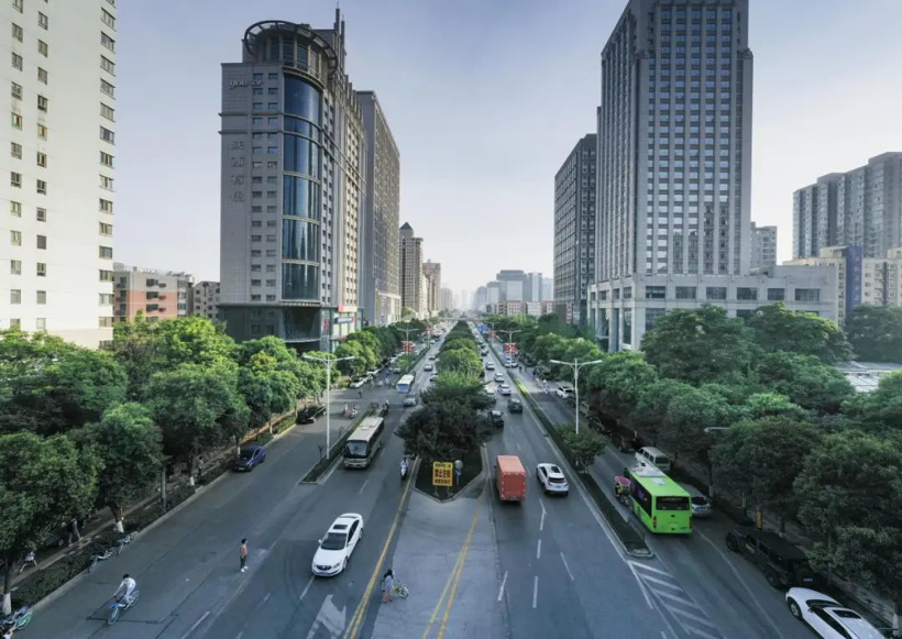 这座城，为何如此偏爱新能源车