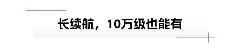 不到20万就有800V、空气悬架，高阶装备亲民了 | 回顾2024