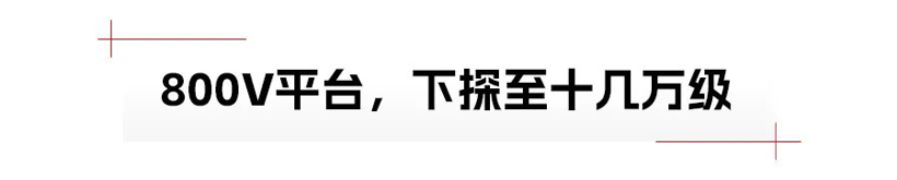 不到20万就有800V、空气悬架，高阶装备亲民了 | 回顾2024