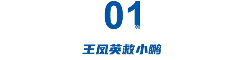 女掌门的2024：王凤英拯救小鹏，毛京波找回莲花，比亚迪高端频出铁娘子