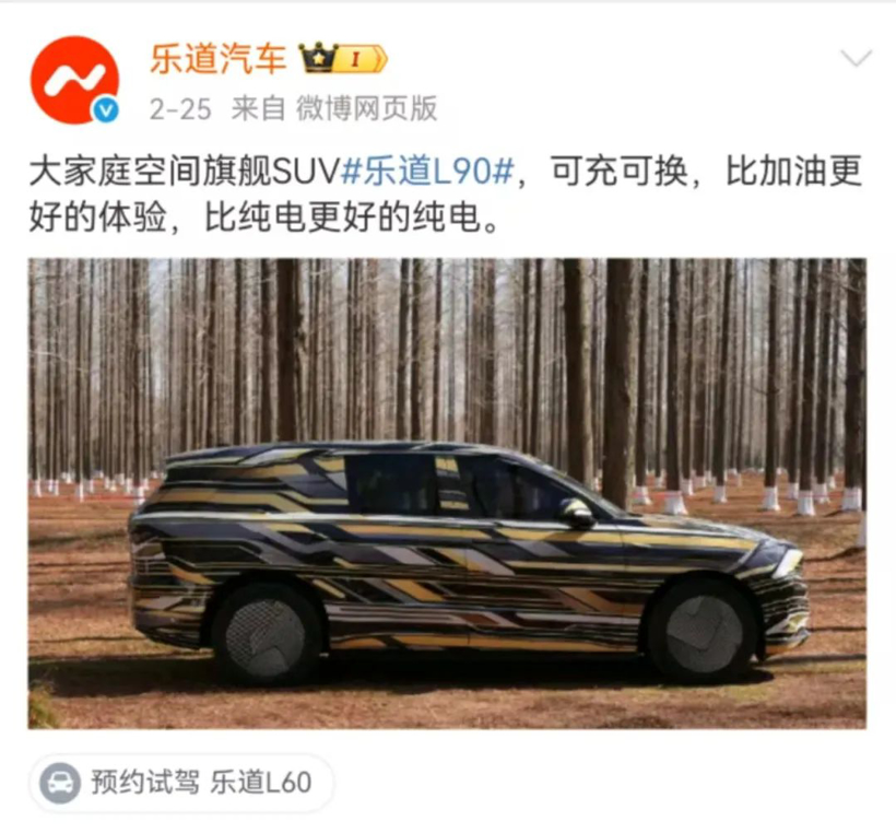 “不能输”的理想i8，“输不起”的乐道L90