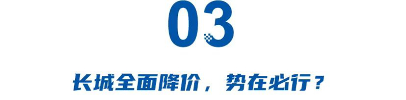 少赚45.6%后，全新高山低价冲量！魏建军终于醒悟，高价打不了持久战