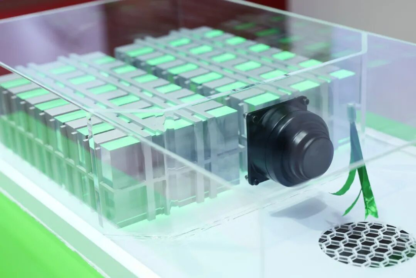 双喜加冕，闪耀金辑！