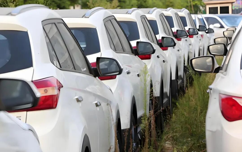 “骗国家钱，非常卑鄙” 魏建军怒批“零公里二手车”