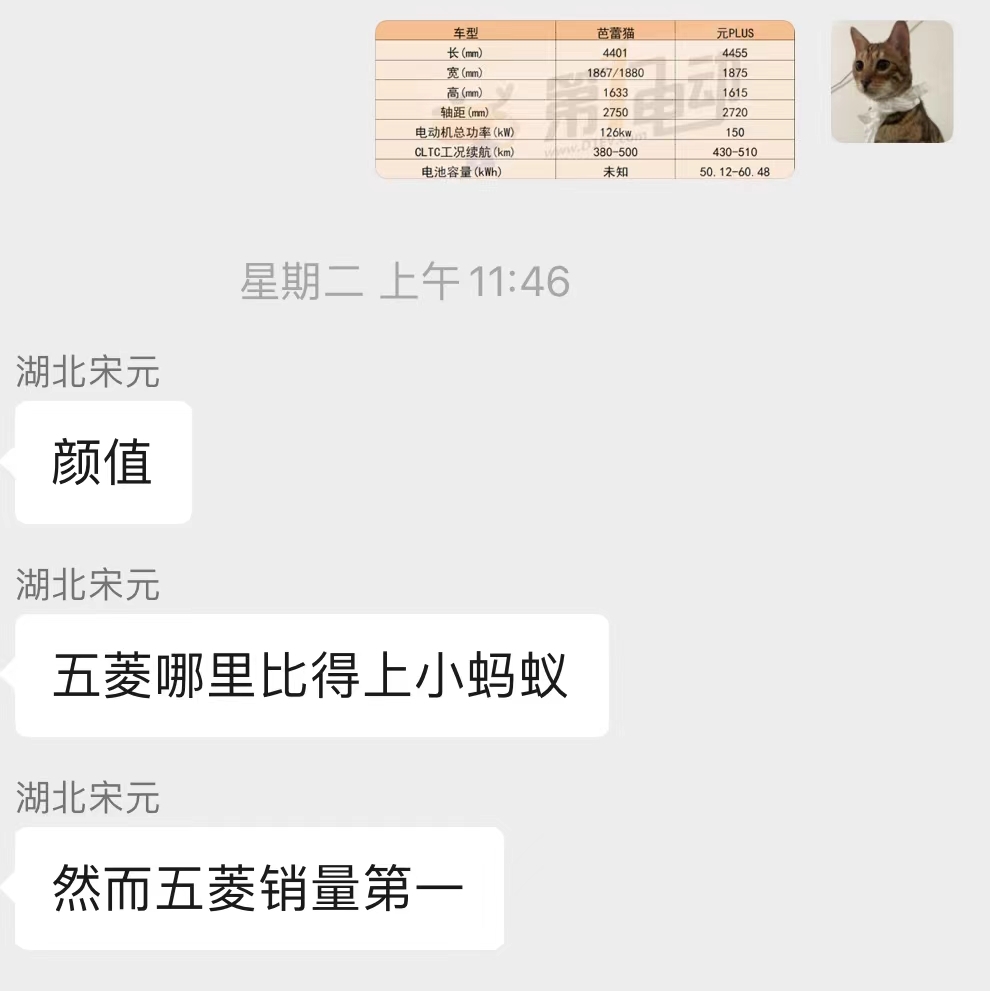 黑/白猫停售 好猫涨价！新能源车企“涨价潮”淹没欧拉？