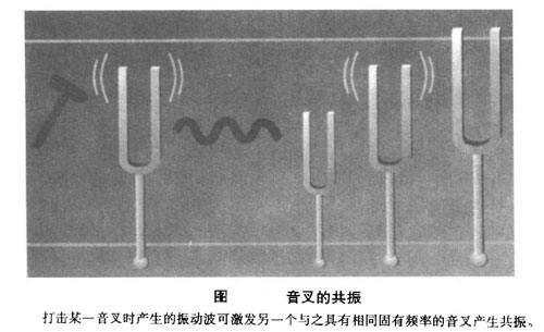 共振音叉.jpg