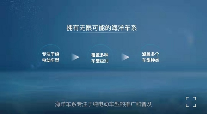 新车，比亚迪，比亚迪海洋系列,比亚迪海豹，比亚迪海狮，比亚迪海鸥