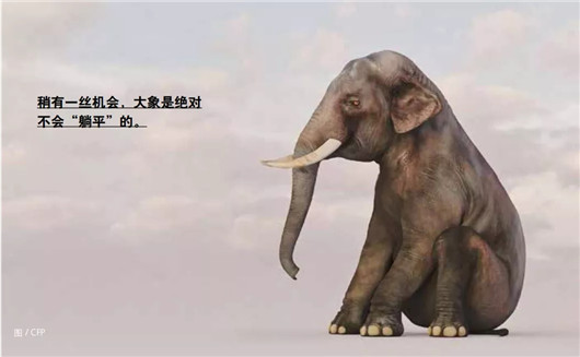 车企不会“席地而坐”