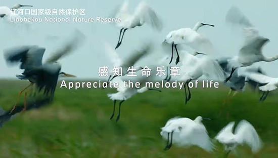 助力生物多样性保护 宝马社会责任项目再扩容