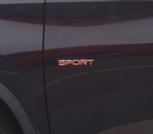 ;Sport汾ʵͼع 