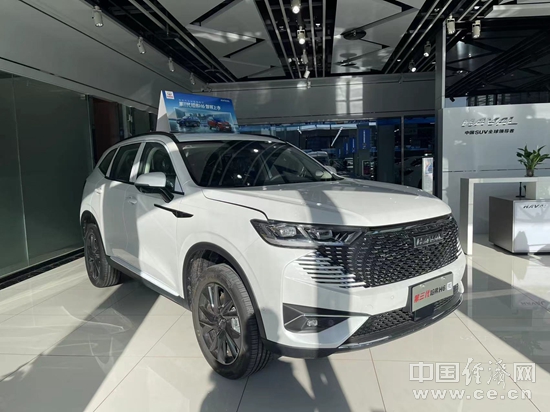 2021年SUV：黯淡之中见亮色，新能源崛起或迎变局