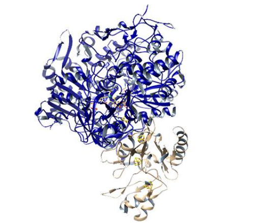 剑桥大学利用受自然启发的新概念 将二氧化碳转化为清洁燃料