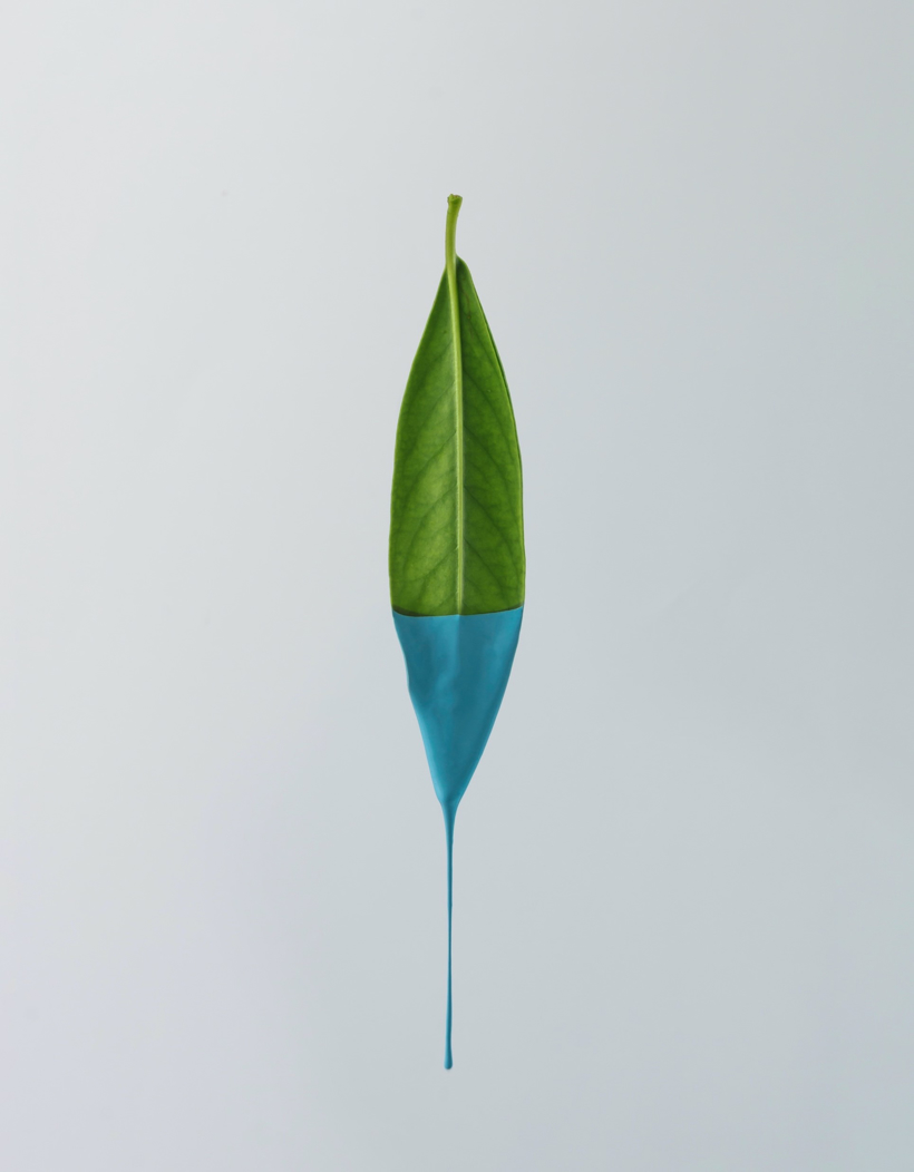 可用于高性能汽车清漆的部分生物基固化剂 | 科思创确认申报2022金辑奖·中国汽车新供应链百强