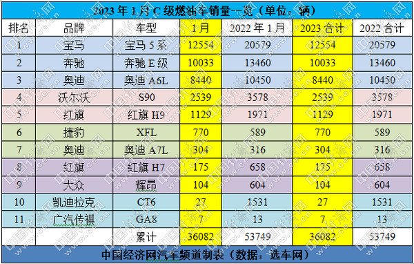 宝马5系拿下1月销冠，新能源逆势增长6.29%