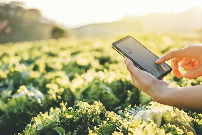 沙基推出新型生物基Ultem树脂 或可取代汽车应用中的砜聚合物
