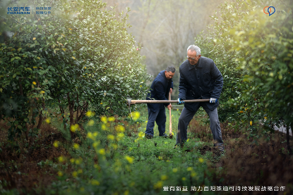 長(zhǎng)安汽車助力鄉(xiāng)村振興 定點(diǎn)幫扶酉陽(yáng)茶油進(jìn)入新階段