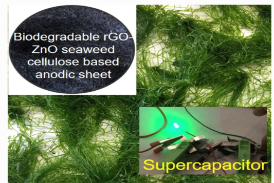 GERMI利用海藻開發(fā)紙基超級(jí)電容器 可在10秒內(nèi)充滿電