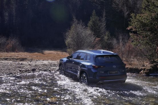 d(q)ϵy(tng) MAZDA CX-50ҲHEVʽ¾