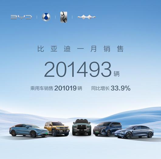 守擂者，比亚迪