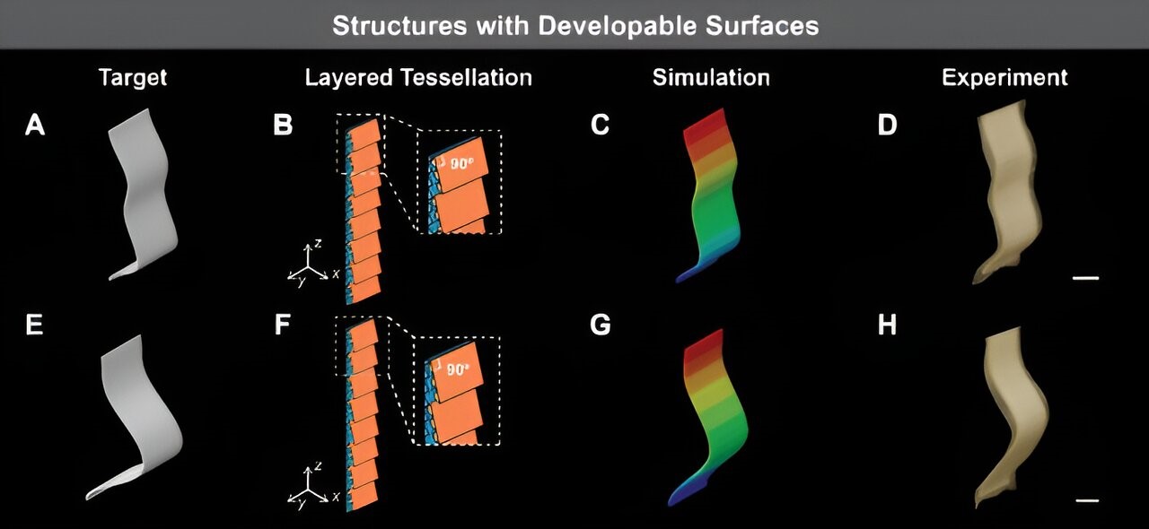 南洋理工大学科学家开发出3D打印活性织物 可用于医疗器械和软体机器人