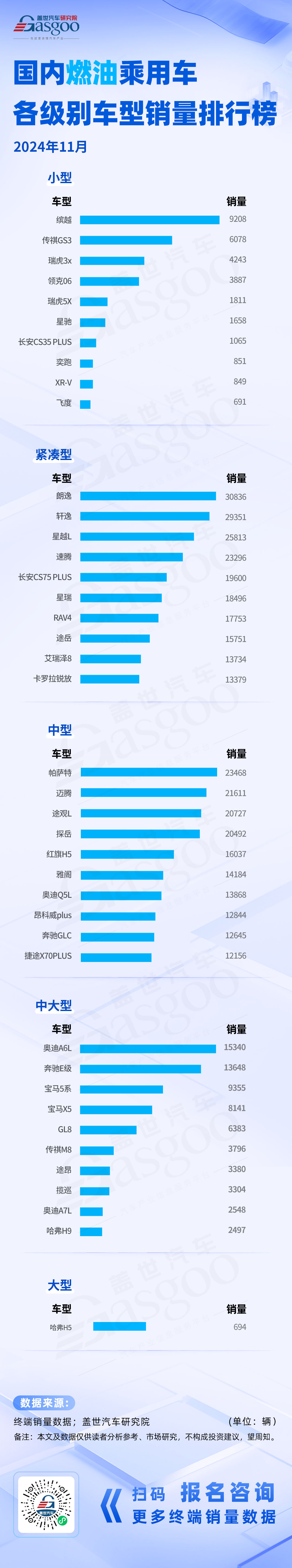 燃油乘用车市场格局稳定，新能源市场比亚迪称雄 | 2024年11月各级别车型销量排行榜