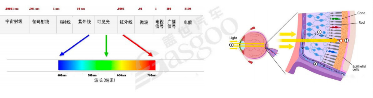 图像的基本知识和框架｜盖世大学堂智能座舱系列知识讲解