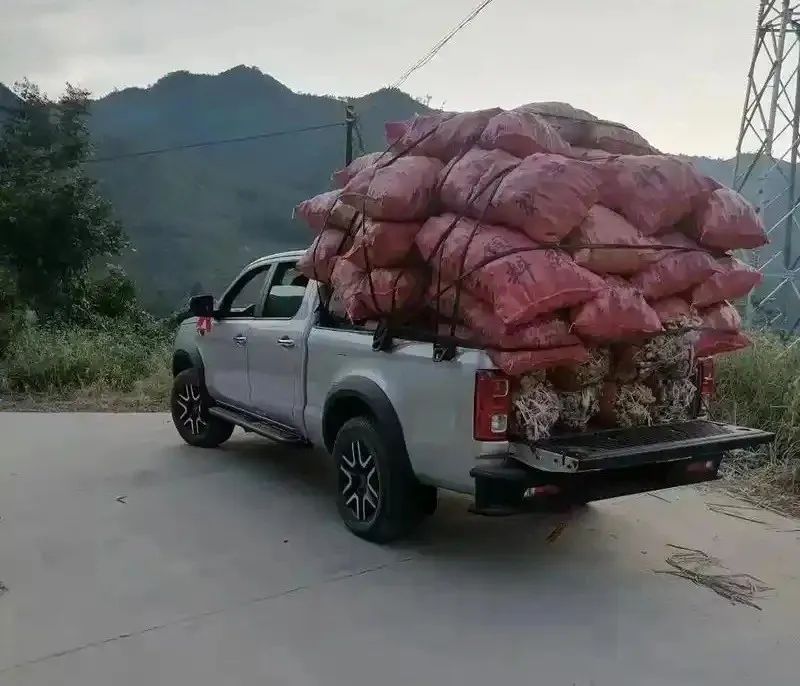 激活皮卡市场，就差临门一脚了