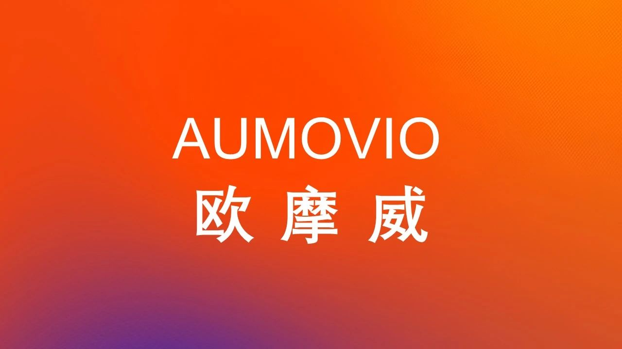 将独立运营的大陆集团汽车子集团再公布新任命
