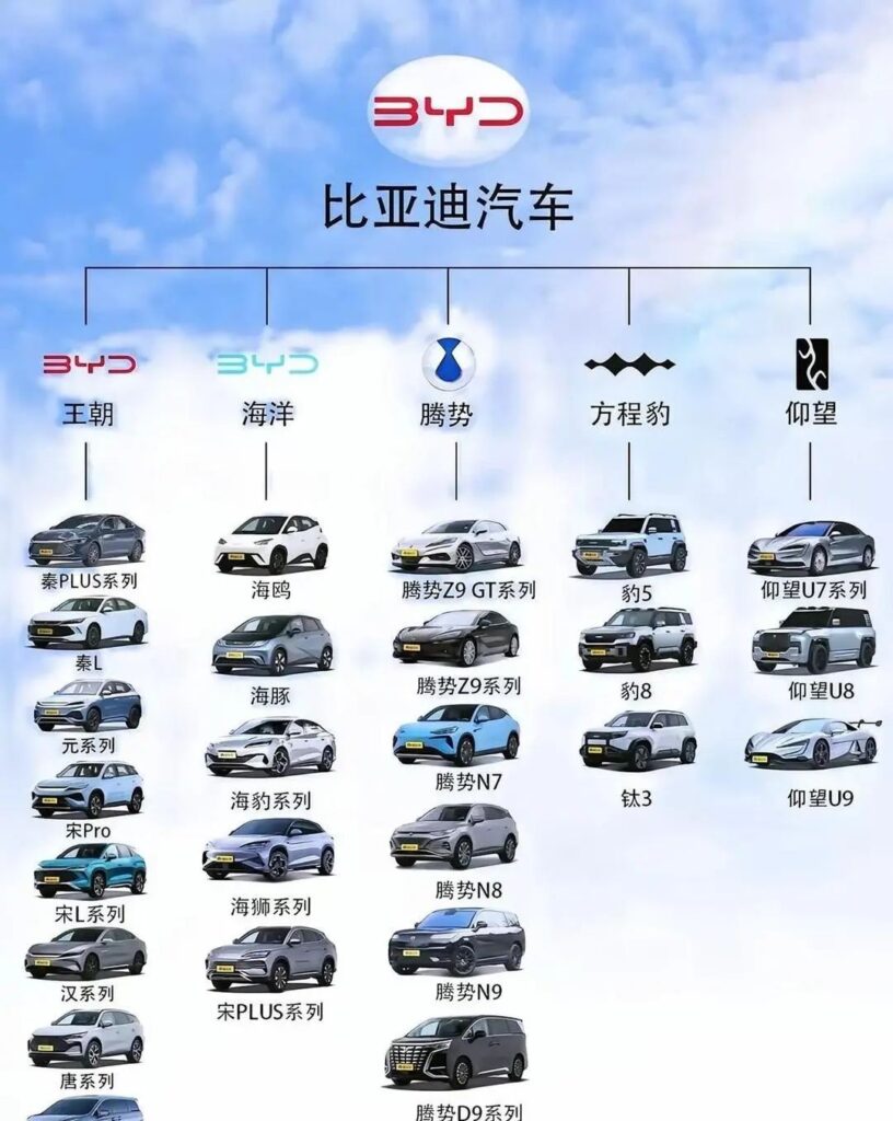 汽车人苟活的这半年