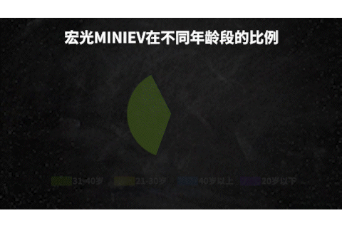 晓莺说：宏光MINIEV的五年