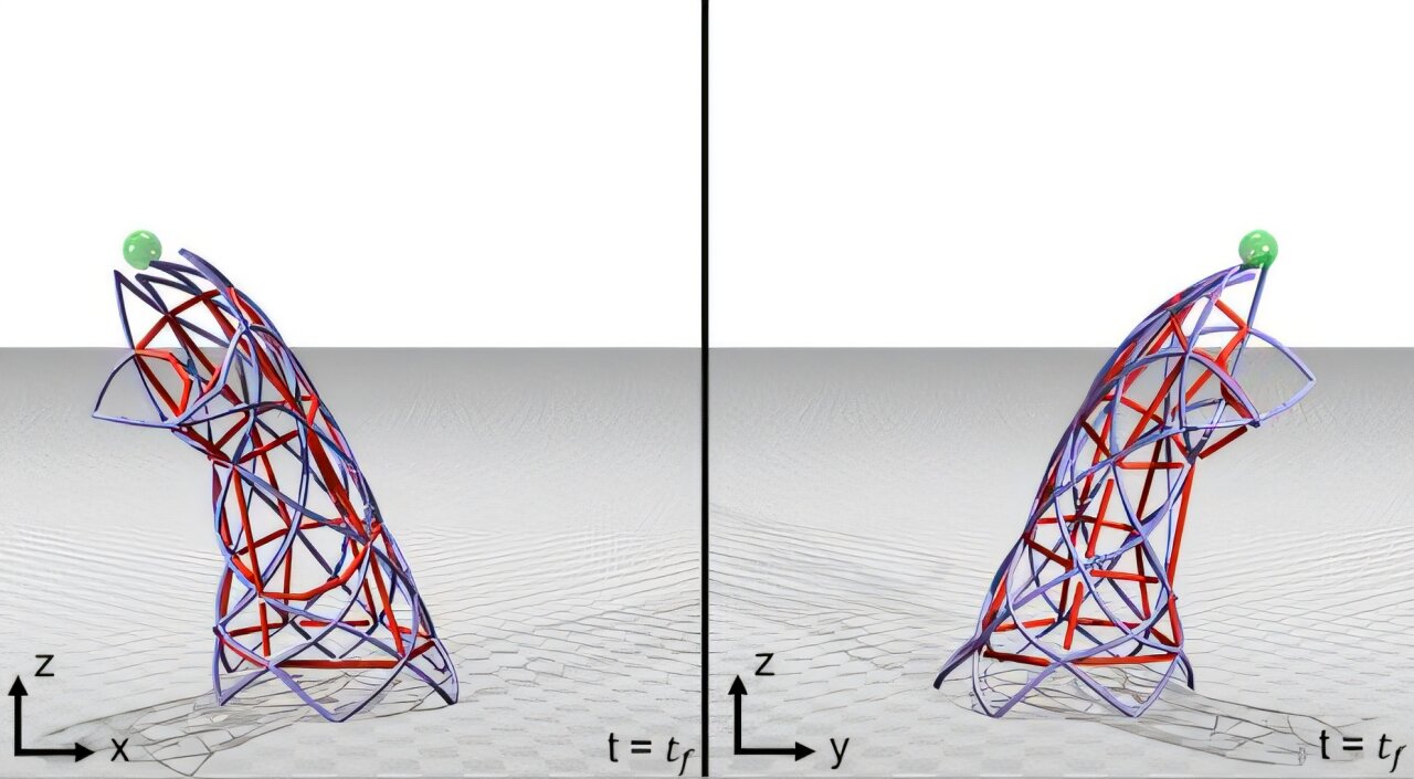 卡内基梅隆大学发明控制器 用于由活体肌肉制成的机器人