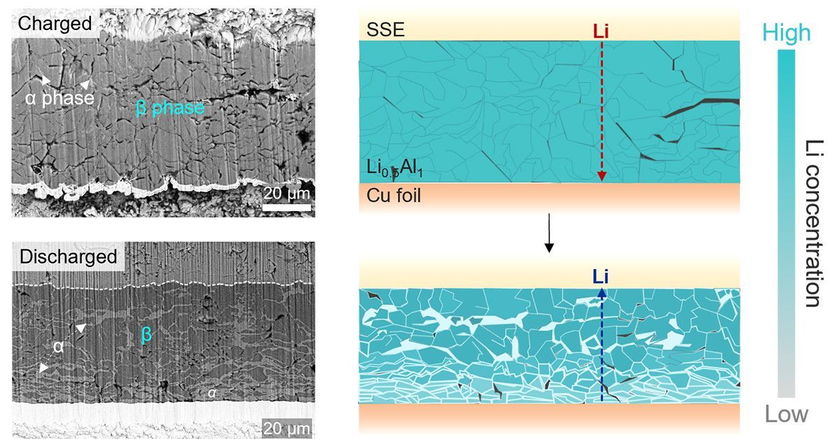 加州大学圣地亚哥分校发明新型锂铝合金相 可著提升下一代固态电池的性能和耐久性