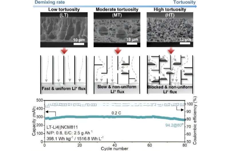 韩国研究团队研发三维多孔结构 有望为电动汽车带来更安全、更持久的锂金属电池