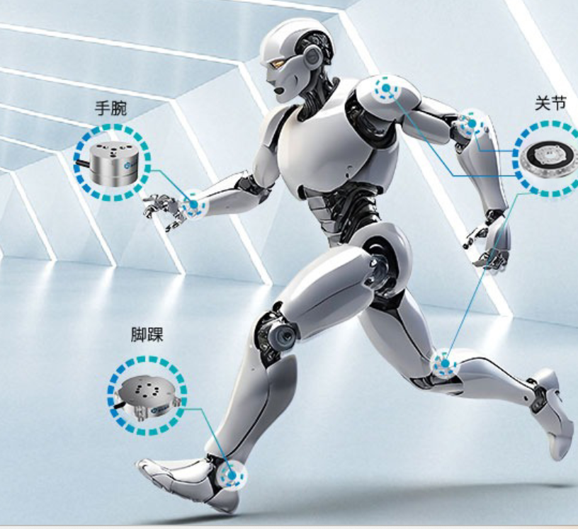 蓝点触控完成C轮超亿元融资，红杉中国领投