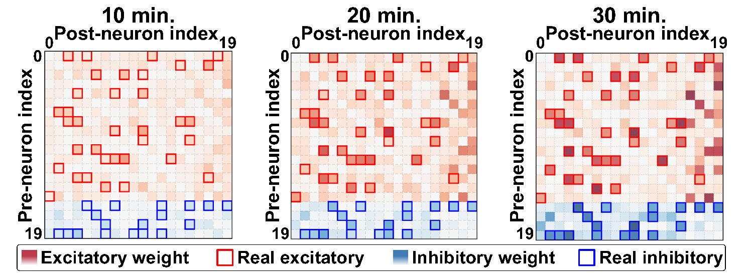 KIST发明新型学习算法 使类脑芯片可实时解读神经网络连接