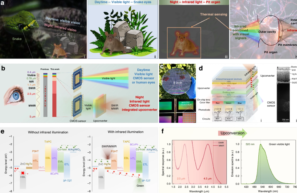 研究人员 期刊.png 研究人员 期刊.png