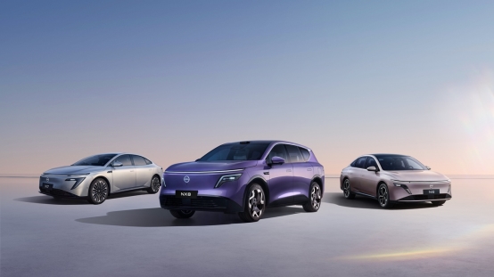 800V+宁德时代5C 东风日产NX8公告图公布